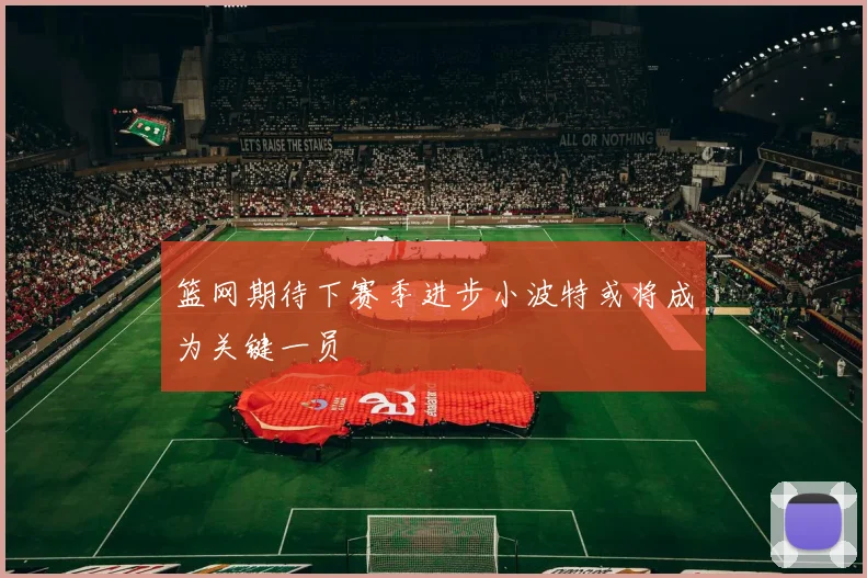 篮网期待下赛季进步小波特或将成为关键一员